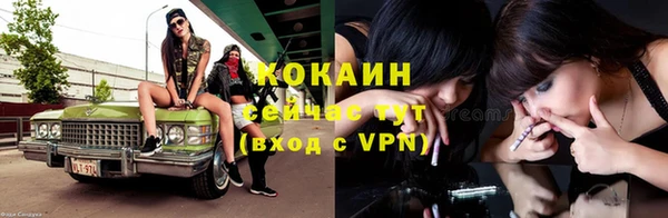 мдпв Дмитров