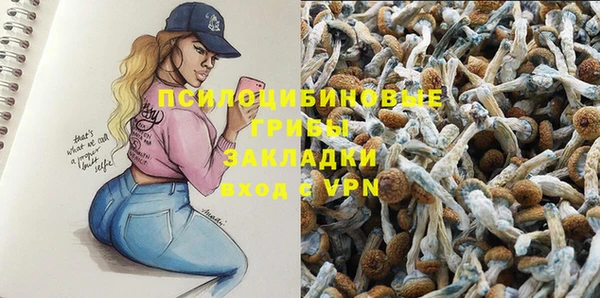 мдпв Дмитров