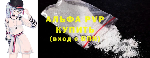 индика Дмитровск