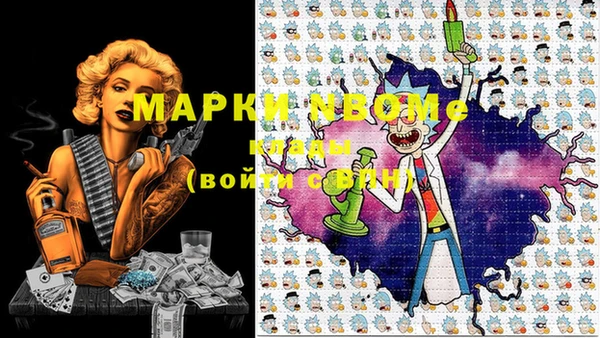 индика Дмитровск