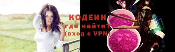 индика Дмитровск