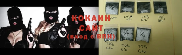 индика Дмитровск