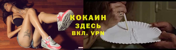 индика Дмитровск