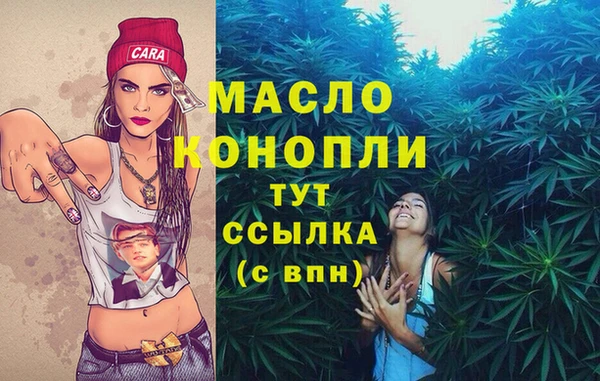 мдпв Дмитров