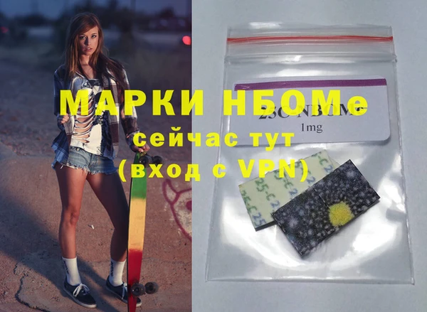 индика Дмитровск