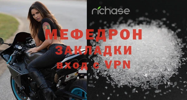 индика Дмитровск